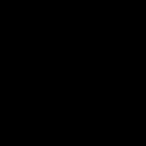 Meet your Posher, Noah